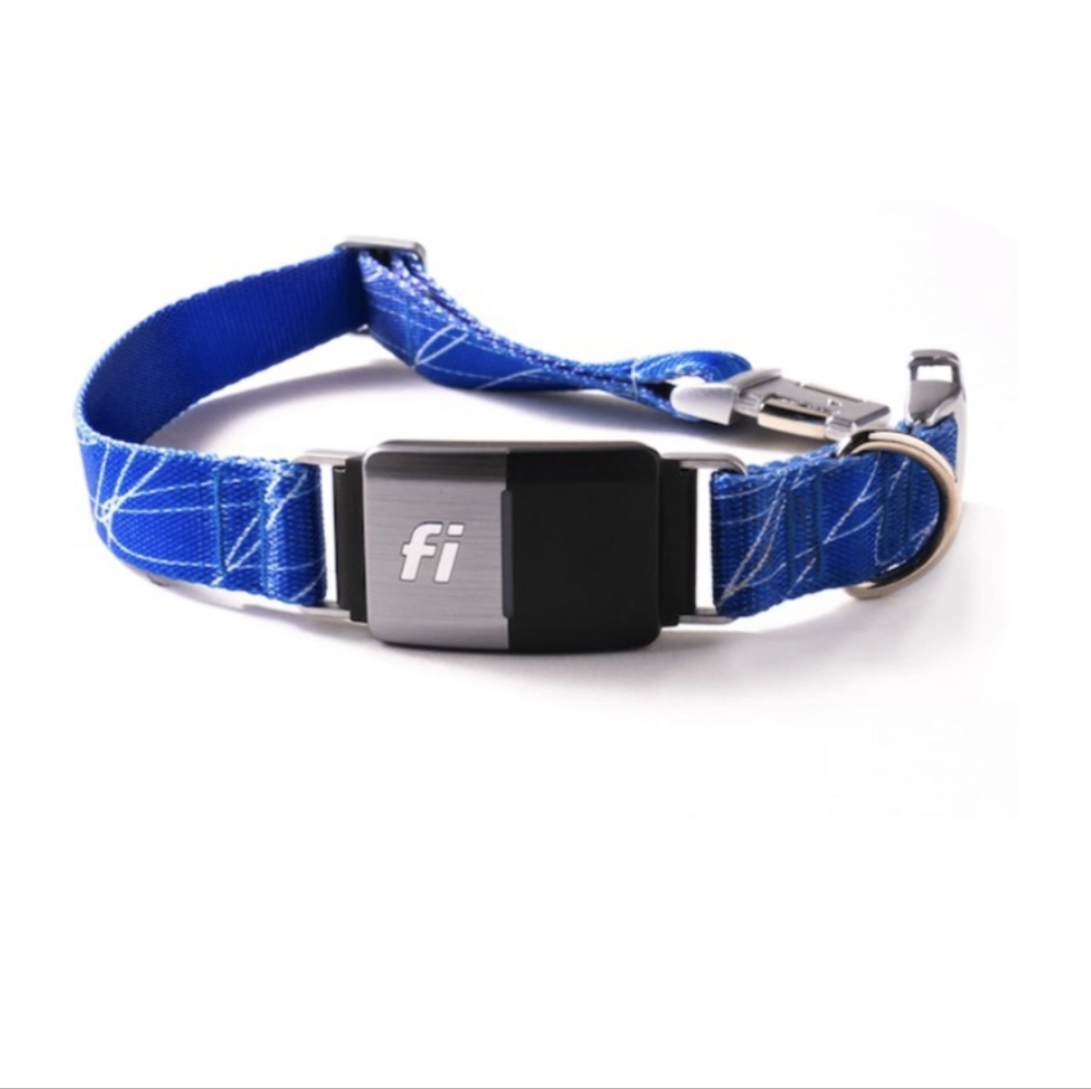 Fi GPS Dog Collar